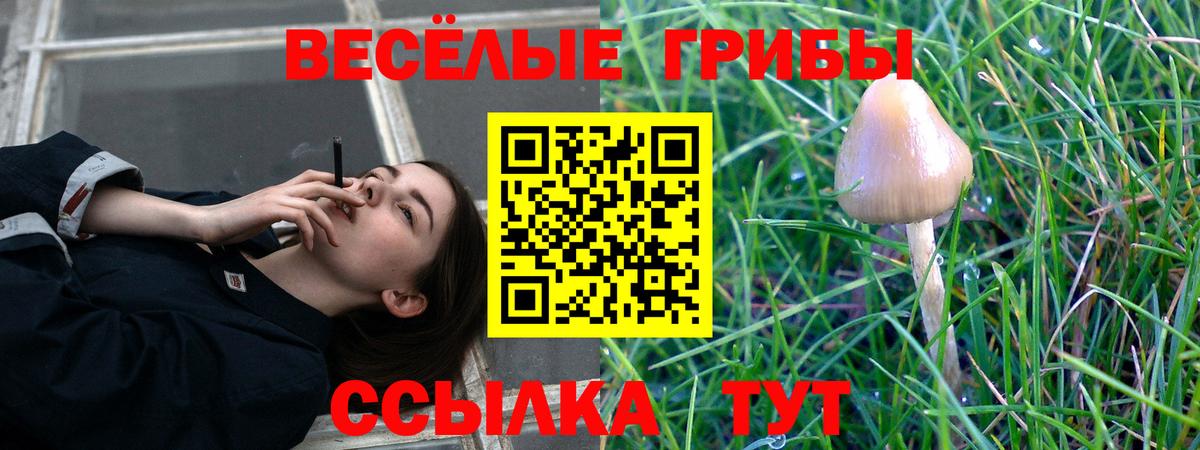 Александров  продажа наркотиков  Галлюциногенные грибы мицелий  Вход с VPN  Галлюциногенные грибы Cubensis 