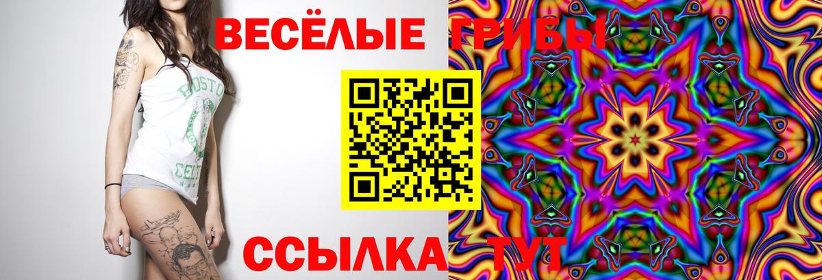 Псилоцибиновые грибы MAGIC MUSHROOMS Александров