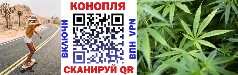 наркота  Александров  площадка как зайти  Бошки марихуана OG Kush 